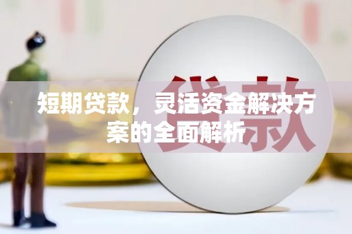 临西短期贷款，灵活资金解决方案的全面解析