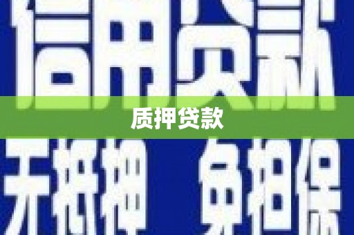 临西质押贷款