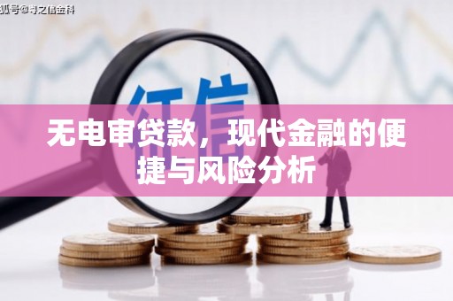 临西无电审贷款，现代金融的便捷与风险分析