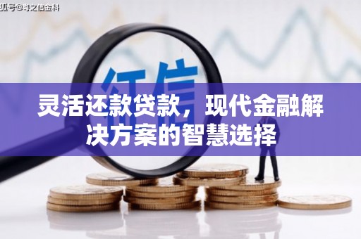 临西灵活还款贷款，现代金融解决方案的智慧选择
