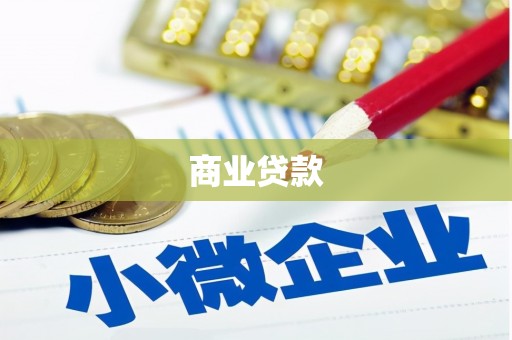 临西商业贷款
