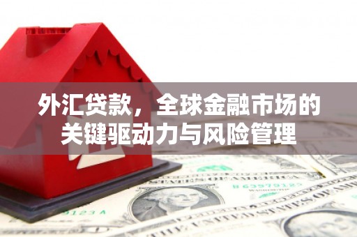 临西外汇贷款，全球金融市场的关键驱动力与风险管理