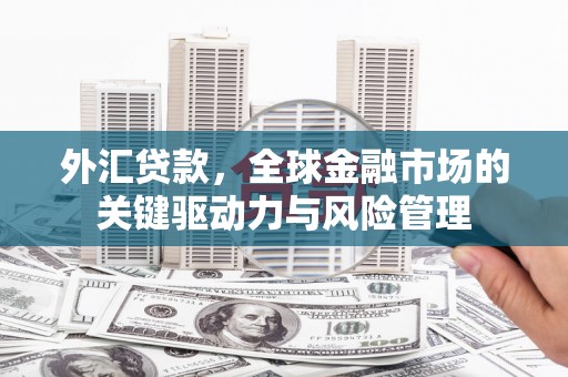 临西外汇贷款，全球金融市场的关键驱动力与风险管理