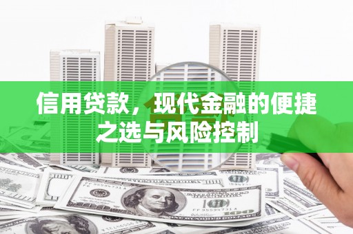 临西信用贷款，现代金融的便捷之选与风险控制
