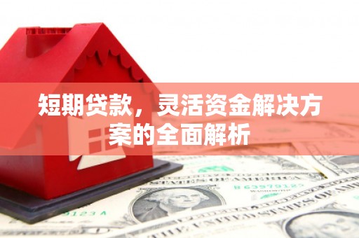 临西短期贷款，灵活资金解决方案的全面解析