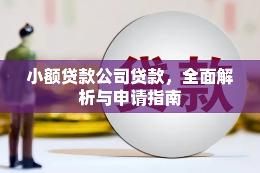 临西小额贷款公司贷款，全面解析与申请指南