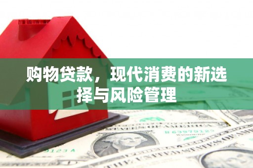 临西购物贷款，现代消费的新选择与风险管理