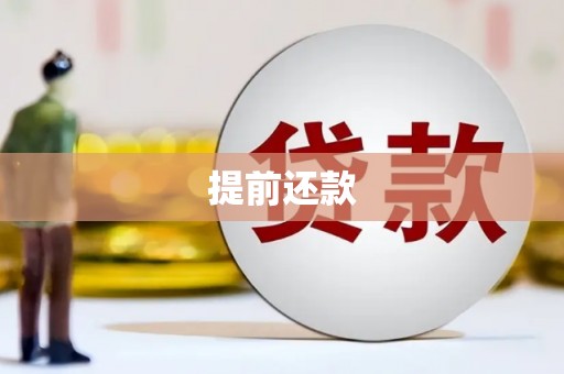 临西提前还款