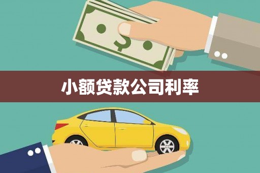 临西小额贷款公司利率