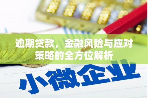 临西逾期贷款，金融风险与应对策略的全方位解析