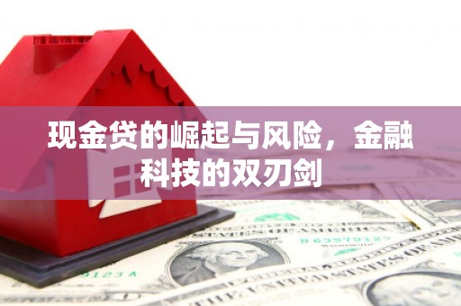 临西现金贷的崛起与风险，金融科技的双刃剑