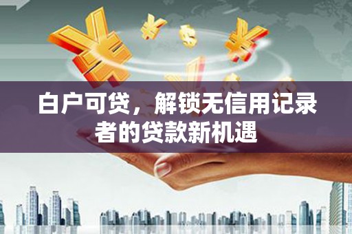 临西白户可贷，解锁无信用记录者的贷款新机遇
