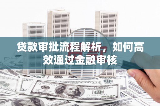 临西贷款审批流程解析，如何高效通过金融审核