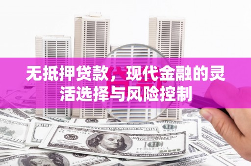 临西无抵押贷款，现代金融的灵活选择与风险控制