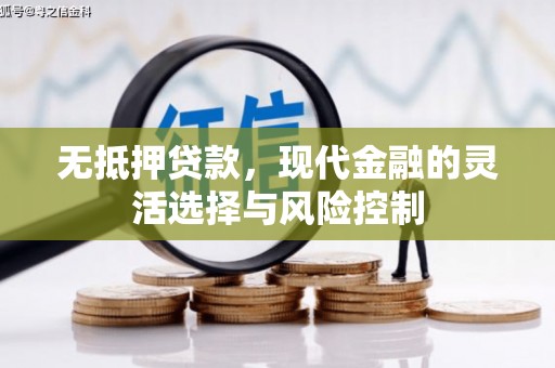 临西无抵押贷款，现代金融的灵活选择与风险控制