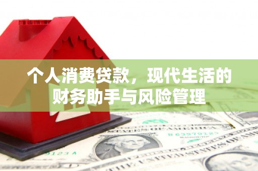 临西个人消费贷款，现代生活的财务助手与风险管理