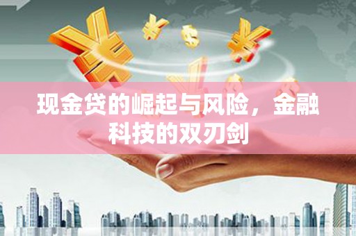 临西现金贷的崛起与风险，金融科技的双刃剑