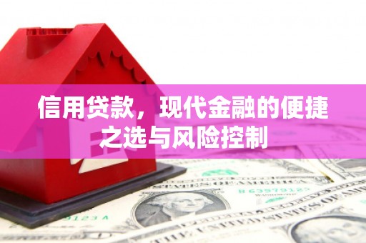 临西信用贷款，现代金融的便捷之选与风险控制