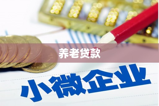临西养老贷款
