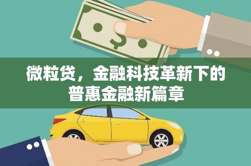 临西微粒贷，金融科技革新下的普惠金融新篇章