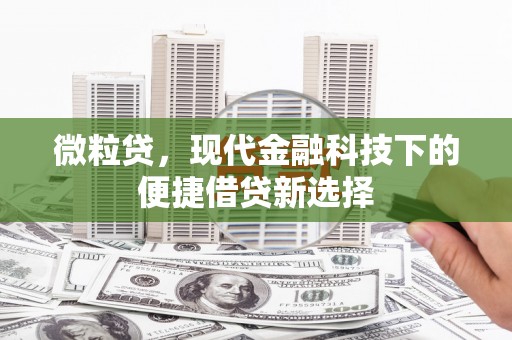 临西微粒贷，现代金融科技下的便捷借贷新选择