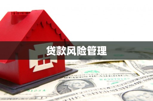临西贷款风险管理