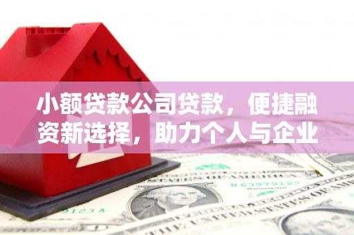 临西小额贷款公司贷款，便捷融资新选择，助力个人与企业成长