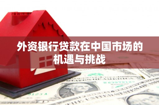 临西外资银行贷款在中国市场的机遇与挑战