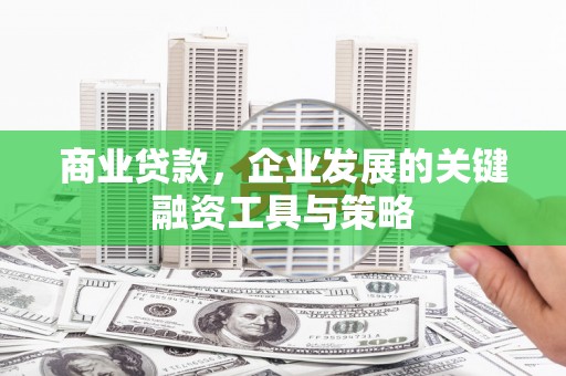 临西商业贷款，企业发展的关键融资工具与策略