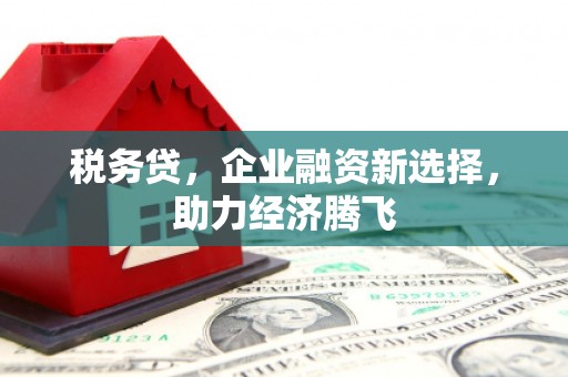临西税务贷，企业融资新选择，助力经济腾飞