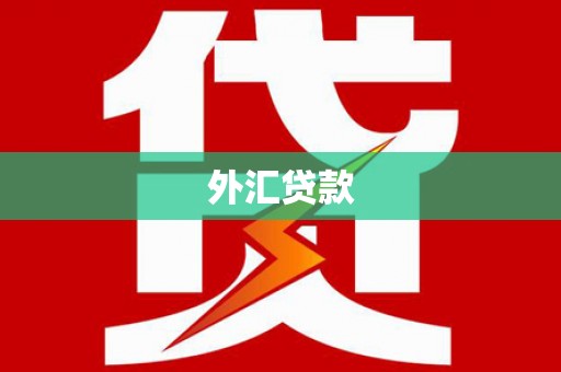 临西外汇贷款