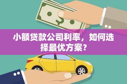 临西小额贷款公司利率，如何选择最优方案？