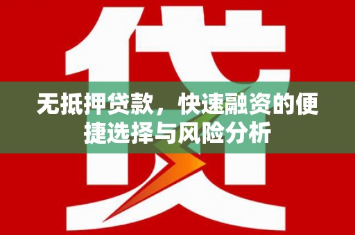 临西无抵押贷款，快速融资的便捷选择与风险分析
