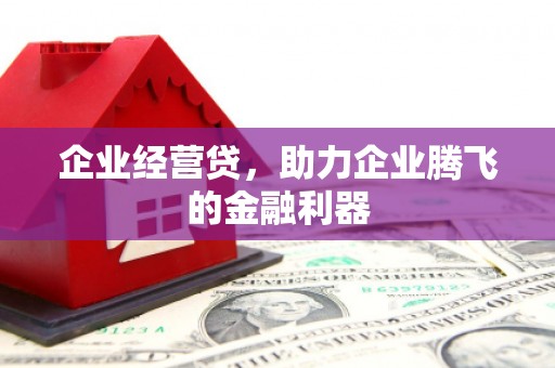 临西企业经营贷，助力企业腾飞的金融利器