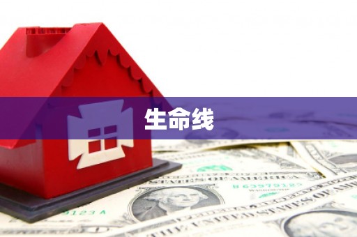 临西生命线