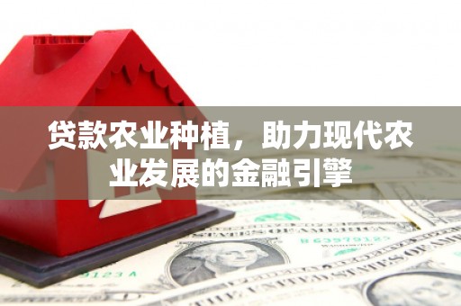 临西贷款农业种植，助力现代农业发展的金融引擎