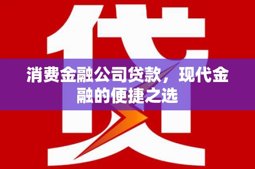 临西消费金融公司贷款，现代金融的便捷之选