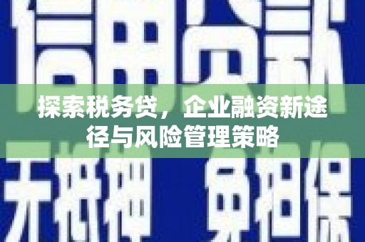 临西探索税务贷，企业融资新途径与风险管理策略