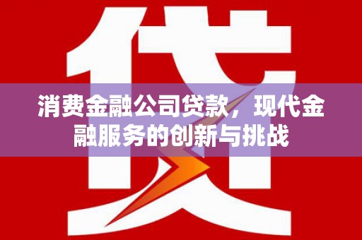 临西消费金融公司贷款，现代金融服务的创新与挑战