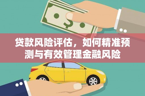 临西贷款风险评估，如何精准预测与有效管理金融风险