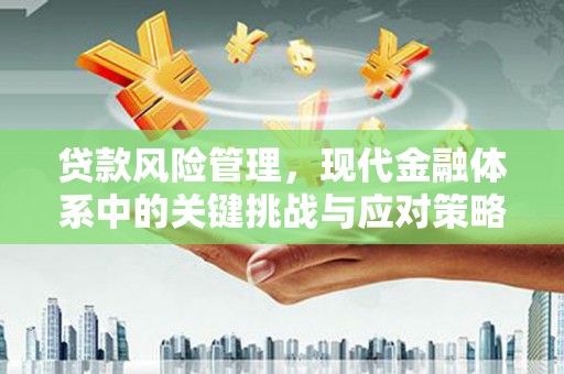 临西贷款风险管理，现代金融体系中的关键挑战与应对策略