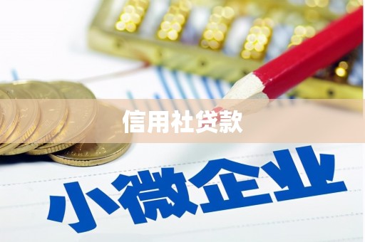 临西信用社贷款