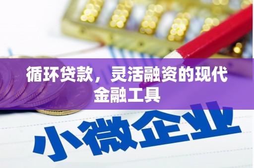 临西循环贷款，灵活融资的现代金融工具