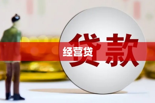 临西经营贷