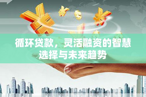 临西循环贷款，灵活融资的智慧选择与未来趋势
