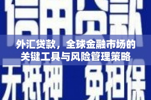 临西外汇贷款，全球金融市场的关键工具与风险管理策略