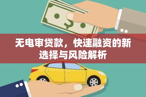 临西无电审贷款，快速融资的新选择与风险解析