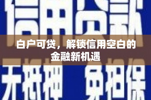 临西白户可贷，解锁信用空白的金融新机遇