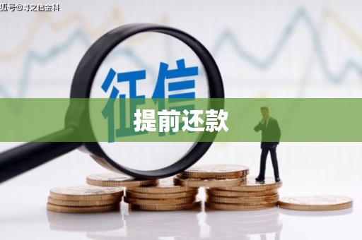 临西提前还款