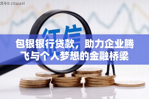 临西包银银行贷款，助力企业腾飞与个人梦想的金融桥梁